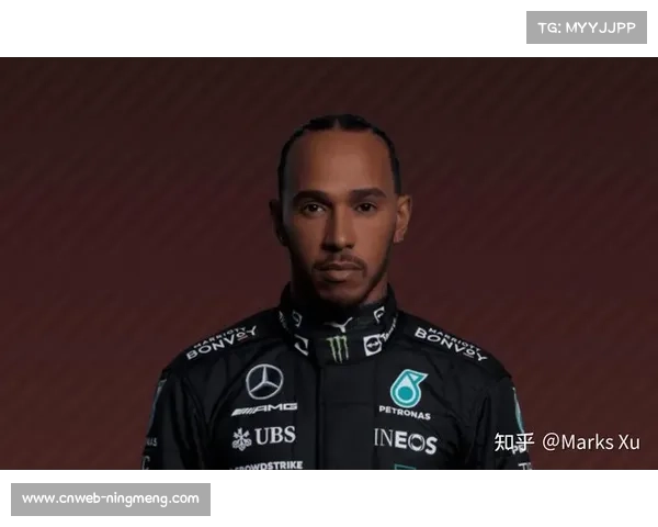 帕尔默分析:汉密尔顿状态回升,巴西站有望打破领奖台荒 帕尔默分析:汉密尔顿状态回升,巴西站有望打破领奖台荒