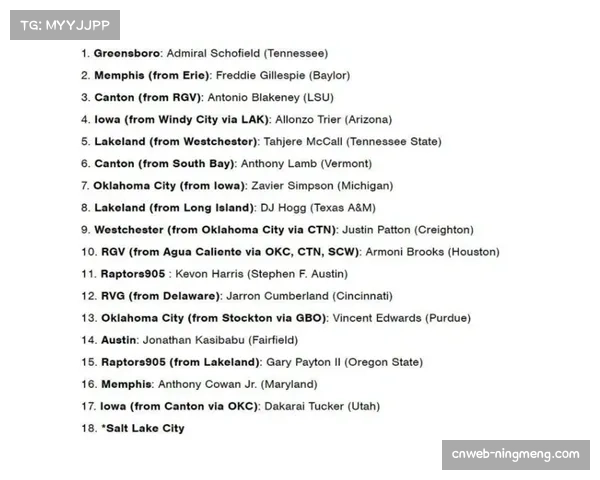 从双向合同到稳定轮换：里萨谢的菜鸟赛季适应与成长之路